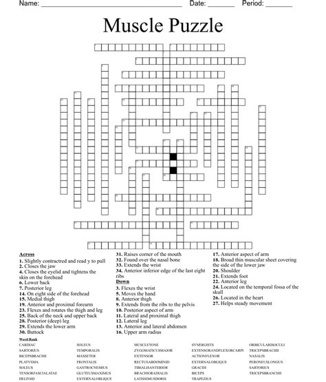 Treat a muscle pull crossword clue - The Crosswordleak.com system found 25 answers for muscle pull crossword clue. Our system collect crossword clues from most populer crossword, cryptic puzzle, quick/small crossword that found in Daily Mail, Daily Telegraph, Daily Express, Daily Mirror, Herald-Sun, The Courier-Mail and others popular newspaper.